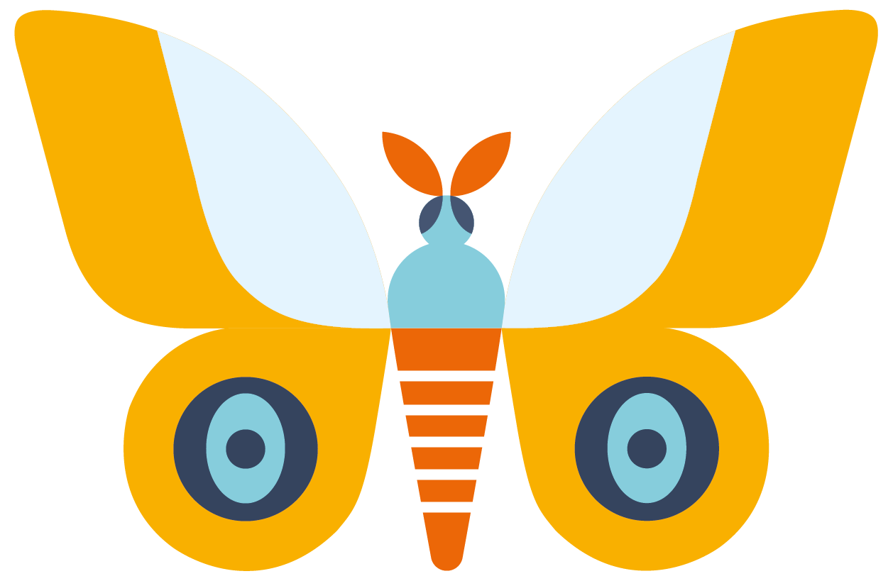 Picture of a butterfly