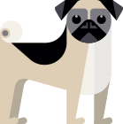 Pug